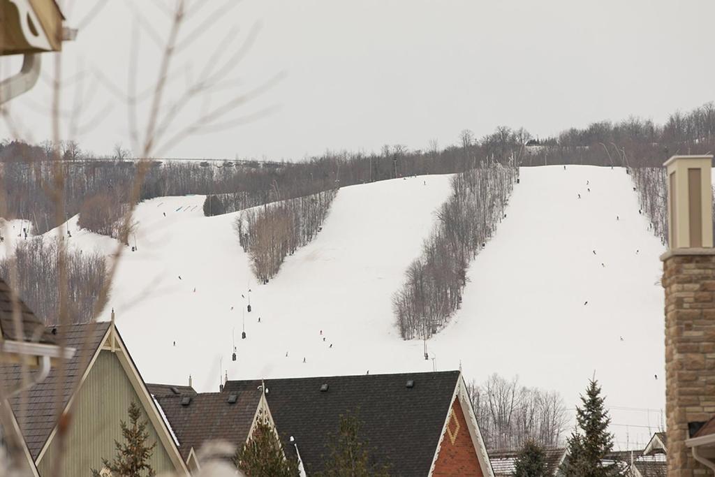 3 Bedroom Snowbridge Condo Блу-Маунтинс Экстерьер фото